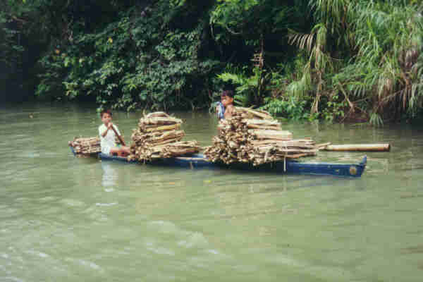 Holztransport auf dem Loboc