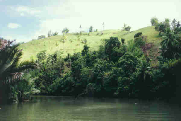 Loboc