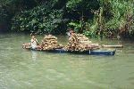 Holztransport auf dem Loboc