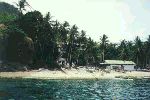 Resort auf Apo Island
