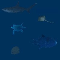 200 x 200 (4 KB)