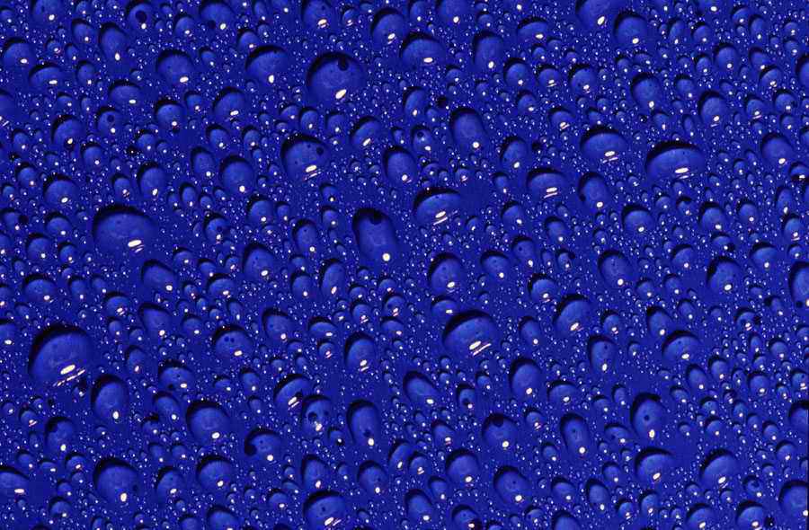 900 x 590 (80 KB)