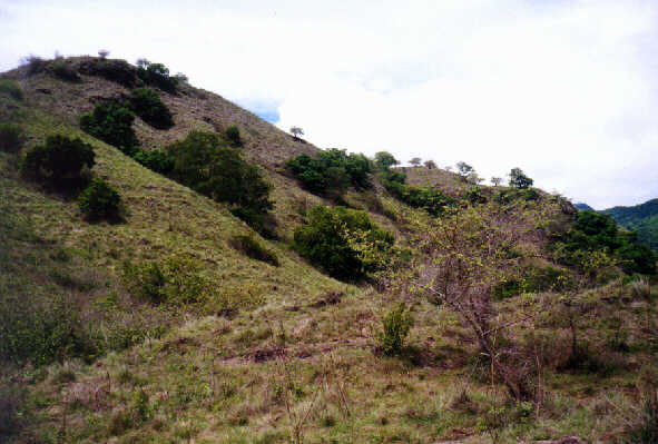 Komodo-Landschaft