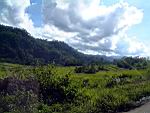 Landschaft auf Flores